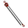 American Power Pull 410 Chain Block - 1 Ton